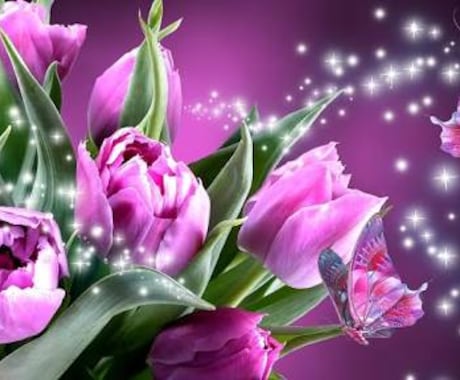 旭川　占い　SaSa先生　カバー画像